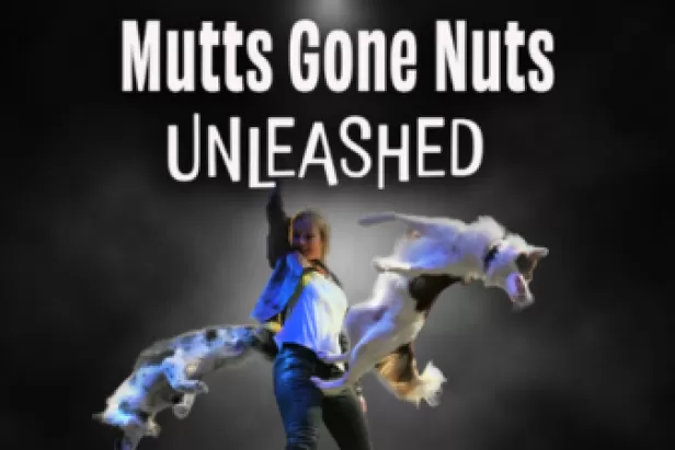 Mutts Gone Nuts
